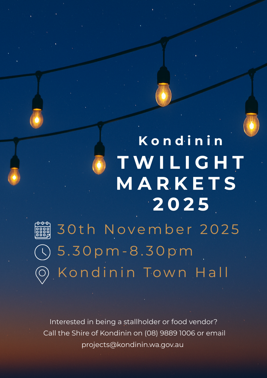 Twilight Markets